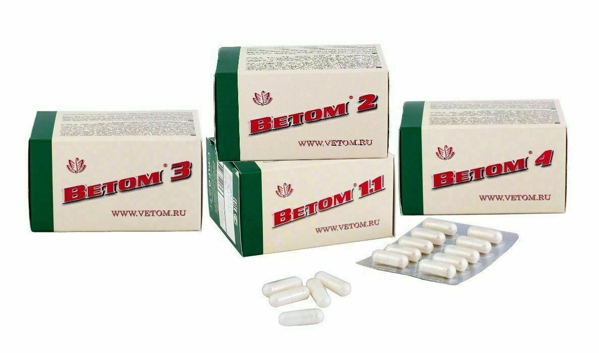 Vetom Vetom 1.1-2-3-4 Health Dietary Supplement Probiotic Bacillus Subtilis ...